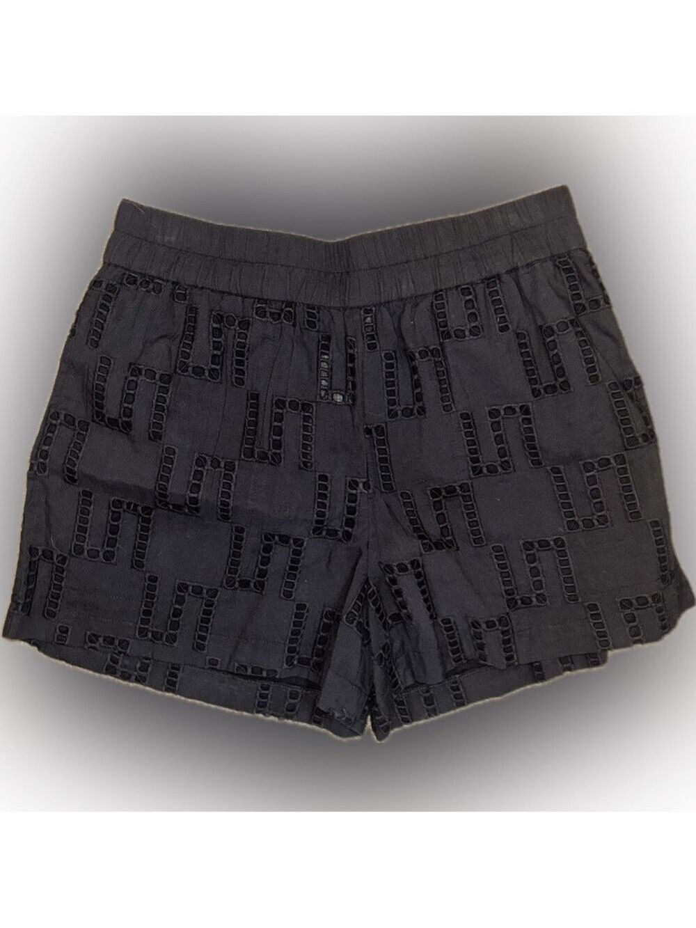 NWT Stark X Lined Linen Embroidered Shorts